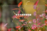 快手号刷赞播放量
