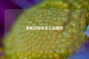 老板抖音号怎么运营的