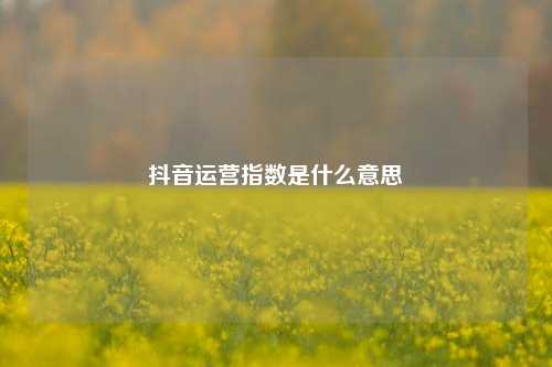 抖音运营指数是什么意思