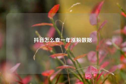 抖音怎么查一年涨粉数据