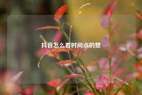 抖音怎么看时间点的赞