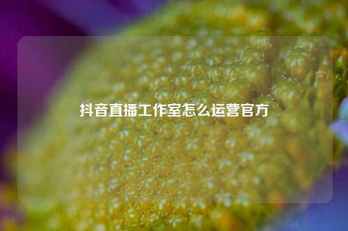 抖音直播工作室怎么运营官方