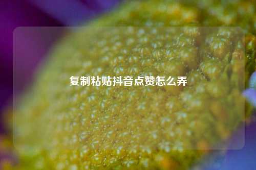 复制粘贴抖音点赞怎么弄