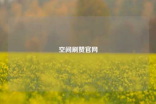空间刷赞官网