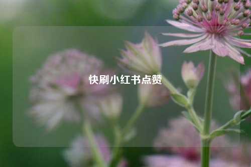 快刷小红书点赞
