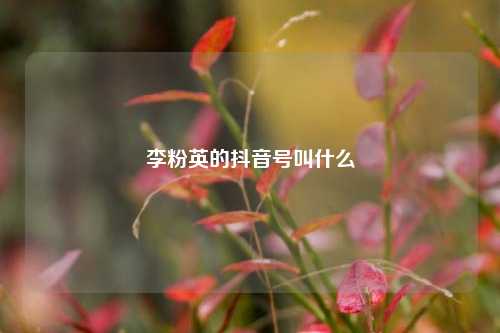 李粉英的抖音号叫什么