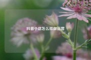 抖音小店怎么样做运营