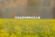 抖音运营导师网名怎么取
