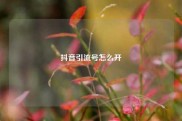 抖音引流号怎么开
