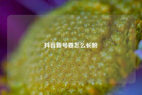 抖音新号要怎么长粉