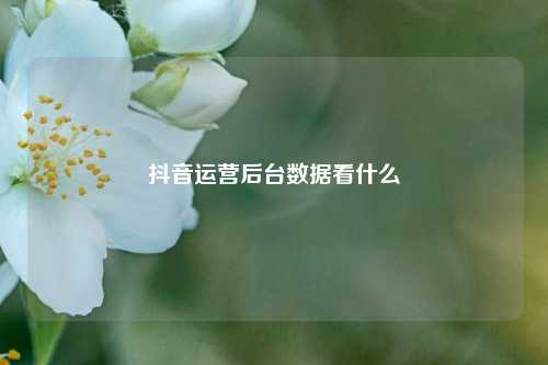 抖音运营后台数据看什么